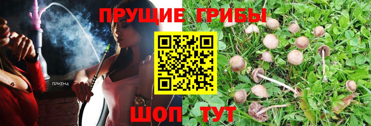 Волгодонск  Псилоцибиновые грибы MAGIC MUSHROOMS  Галлюциногенные грибы ЛСД  Вход с VPN 