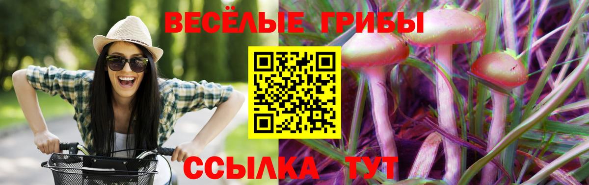 Псилоцибиновые грибы Magic Shrooms Волгодонск